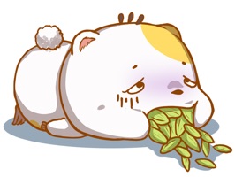 new hamster with his funny expressions to bring joy to the conversation for iMessage stickers