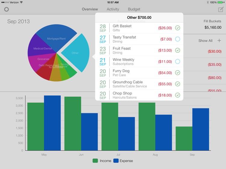 MoneyWell for iPad