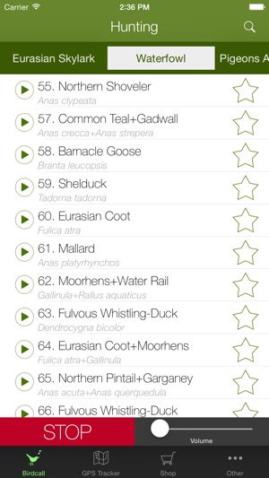 Hunting - birdcall birdsong(圖3)-速報App