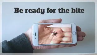 Captura de Pantalla 1 Broma de la araña en la mano iphone