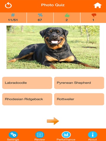 Dog Breeds Quizzes screenshot 2