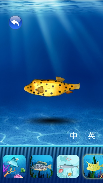 3D动物园及水族馆,工程车辆