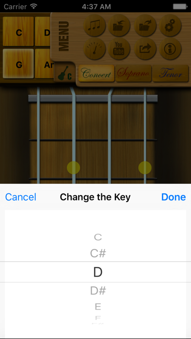 How to cancel & delete Play Ukulele Pro from iphone & ipad 3