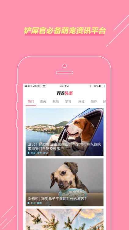 养宠头条——为养宠人群度身定制的宠物新闻资讯平台