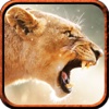 2016 Lion Hunter Pro Challenge