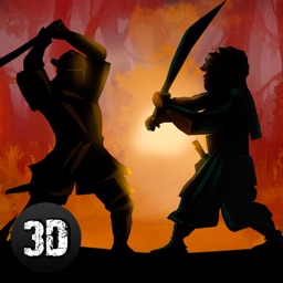 Shadow Kung Fu Fighting 3D Full