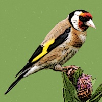 Vogelarten pour PC