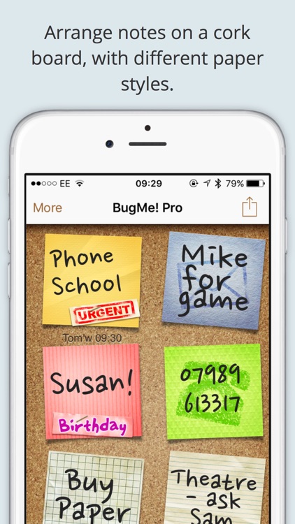 BugMe! Stickies Pro - Ink Notepad, Reminders and Alarms