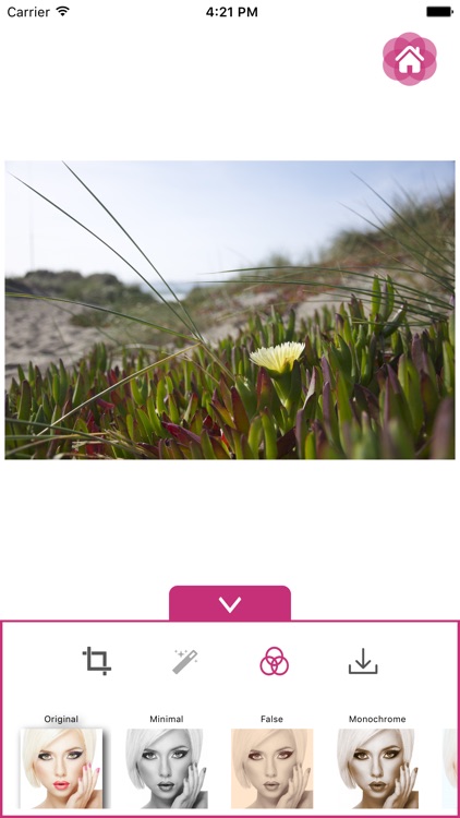 AmenD - Photo Editor