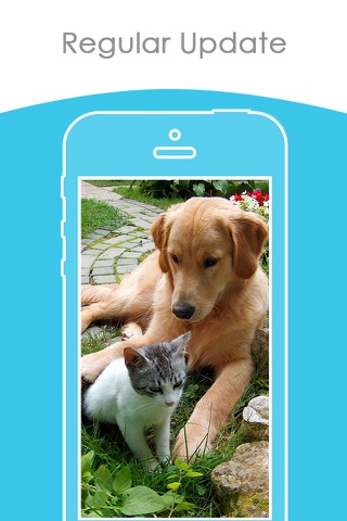 Free puppy & Kitten Wallpapers | Best HD Pictures screenshot 3