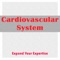 Cardiovascular System Exam Review : 5600 Quiz & Study Notes