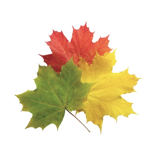 Autumn Leaves Stickers icon