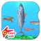 Delicious! SeaCreatures -Simple Pictorial Book Kids Game -