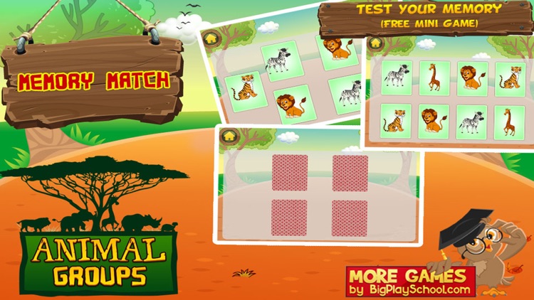 Animal Groups - Learn Animals screenshot-3