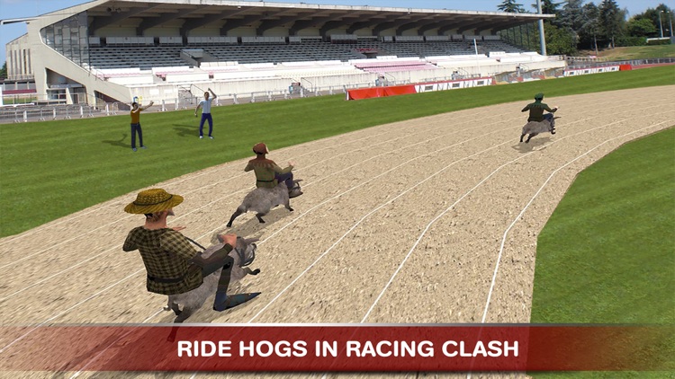 Hog Rider : Ride & Race Pigs