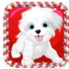 Doggy Dash HD