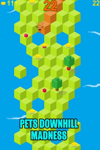 Pets Downhill Madness - Pets Puzzle Games For kids screenshot 2