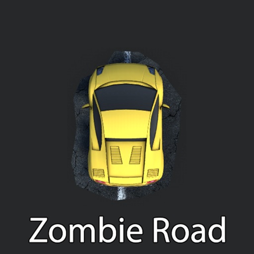 Zombie Road Racer Icon
