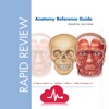 Rapid Review Anatomy Guide