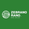 Zebrano Rano