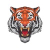 Eczacıbaşı – Tigers App