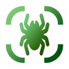 Spider Identifier - AI Scanner