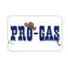 Pro Gas 1001