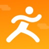 FitStep Pro