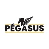 Clube Pegasus