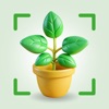 AI Plant Identifier& Diagnosis