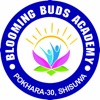 Blooming Buds Academy