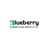 Blueberry Global Markets