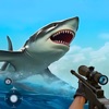 Shark Attack- Shark Hunting