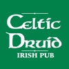 Celtic Druid