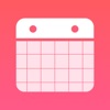 School Days Tracker