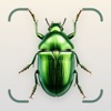 Insect Identifier: Bug Finder