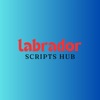 Labrador Scripts Hub