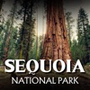 Sequoia National Park GPS Tour