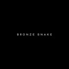 BRONZE SNAKE