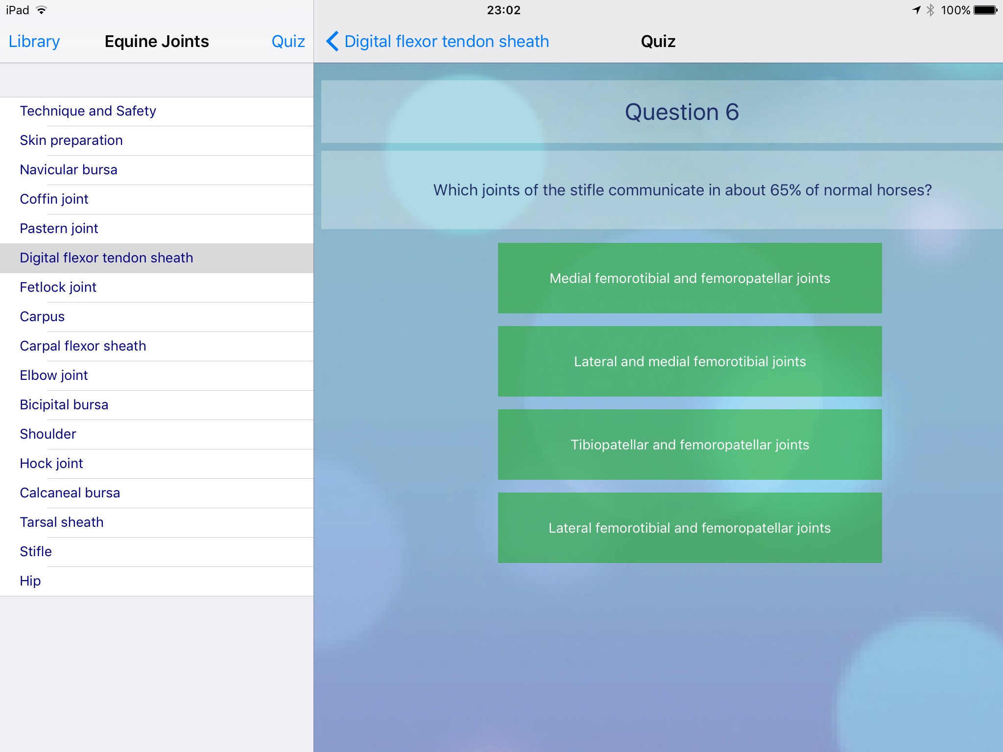 BEVA Equine Joint Injections screenshot 4