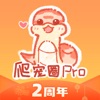 爬宠圈Pro