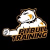 Pitbull Training Chile