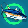 Fidow - Easy fishing simulator