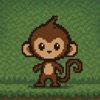 Monkey Game: Brain,Number