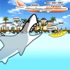 Hungry Miami Shark