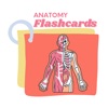 Anatomy Learning Flashcards