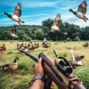 DUCK HUNTER CLASSIC