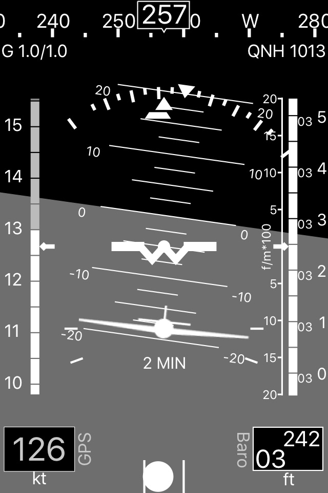 A-EFIS Black and White screenshot 2