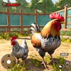 Wild Rooster Chicken Simulator