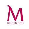 MFinance Business